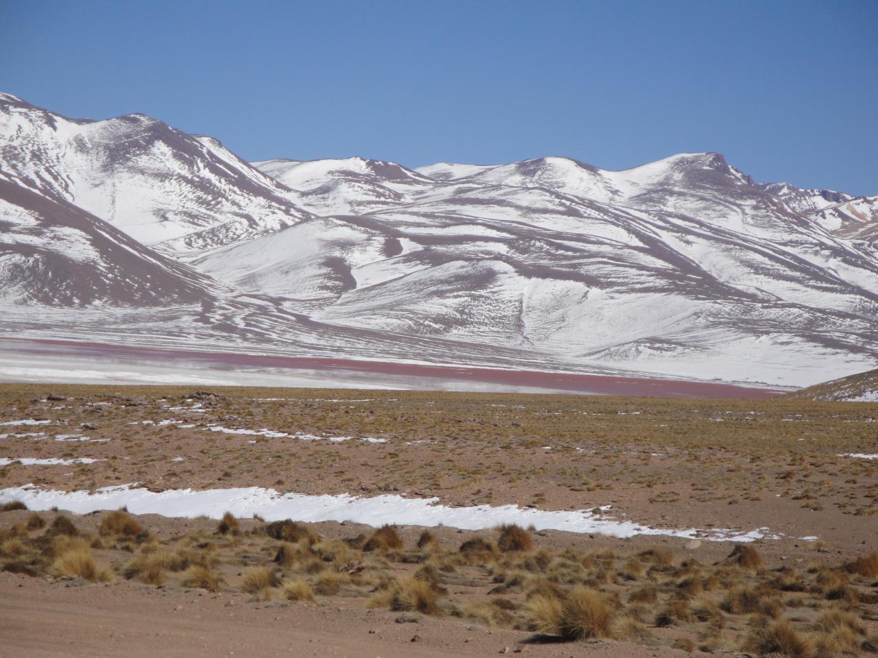 Laguna colorada Salar d'Uyuni Bolivie