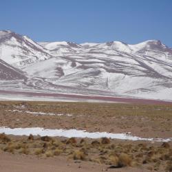 Laguna colorada Salar d'Uyuni Bolivie