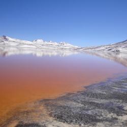 Laguna colorada Salar d'Uyuni Bolivie