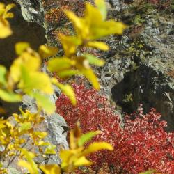 Autour de la via de la Pisse