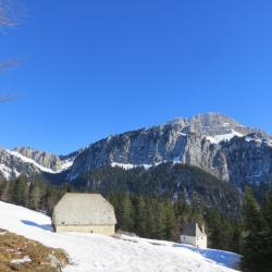 Habert du Billon Chartreuse