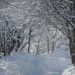 en descendant sur Chiappera Val Maira