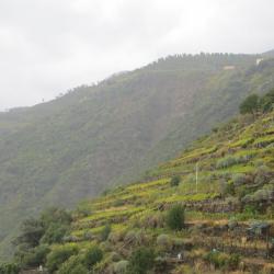 Cinque terre