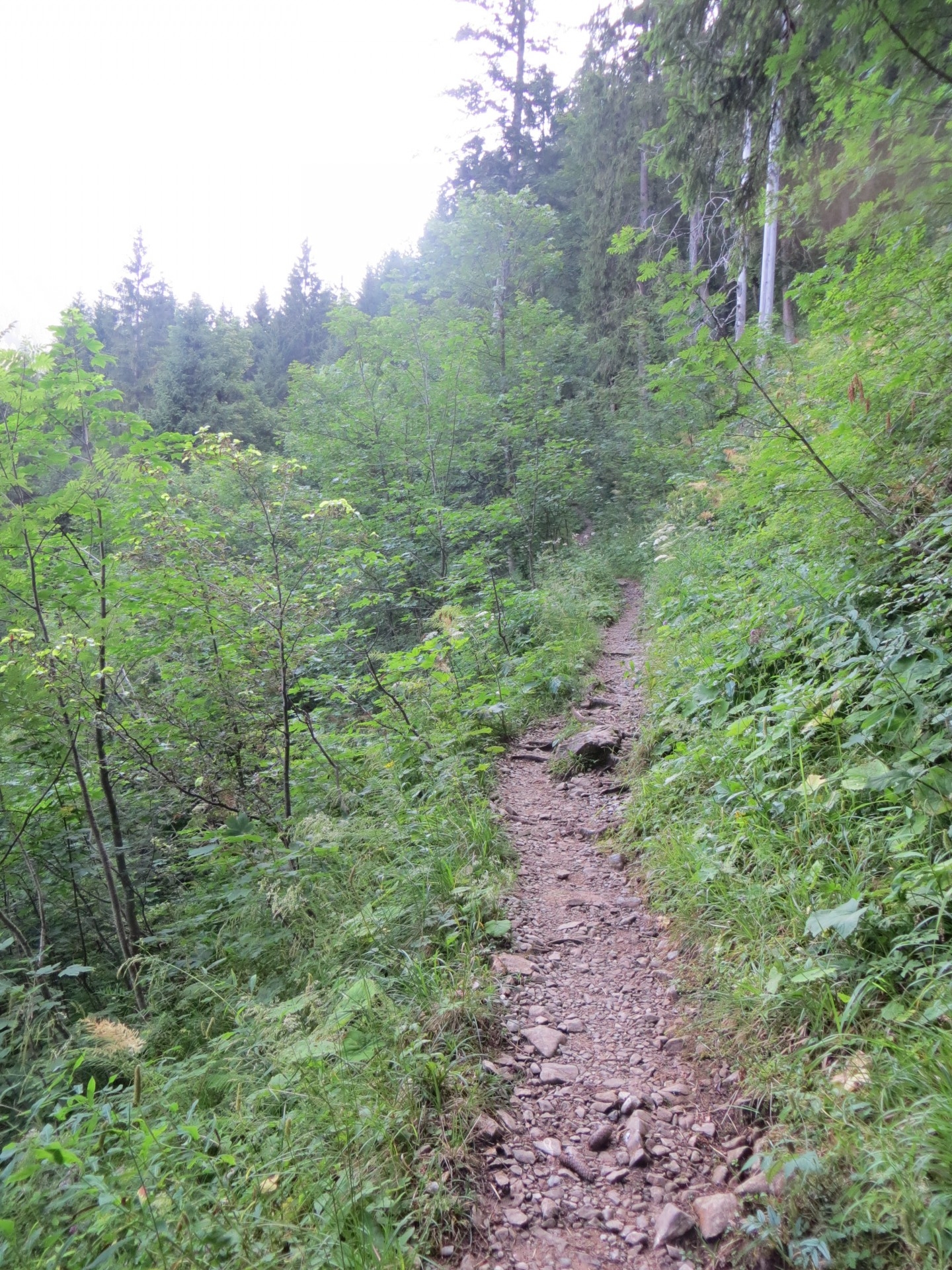 Chemin de randonnée en partance de Kenzehüte