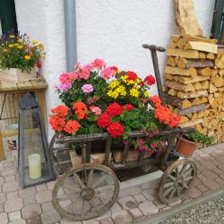 Pension Eppizirl Alm