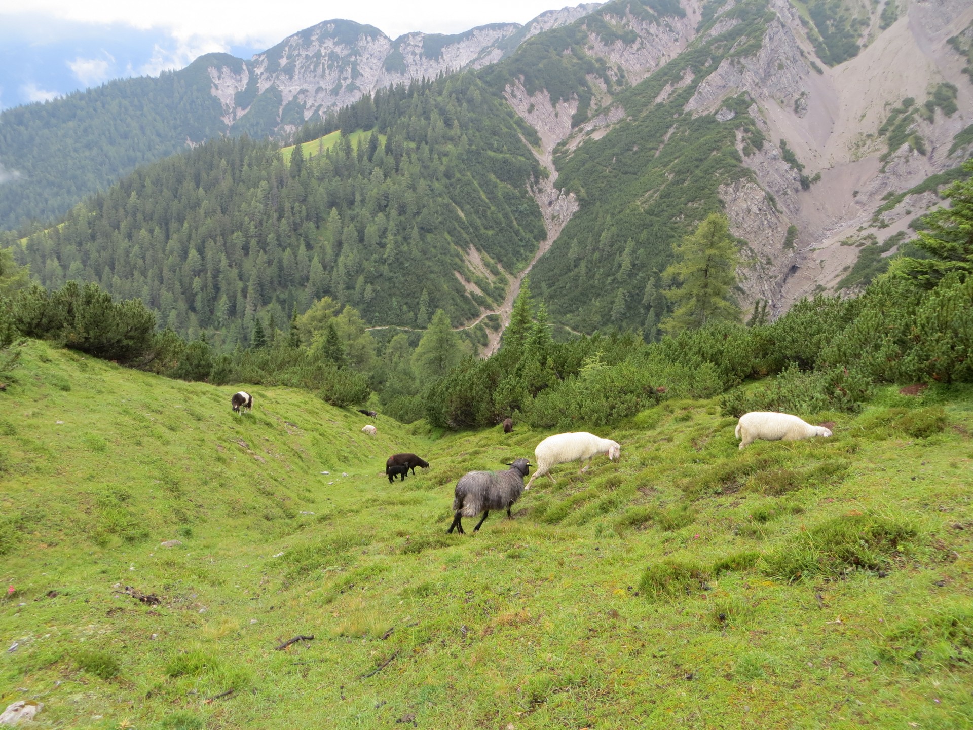 val de Geissenbach